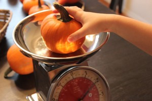 http://www.eagered.com/f/f-is-for-fall-pumpkin-and-squash-measuring-activity